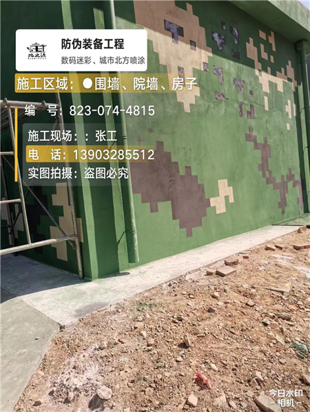 泸州核心结论：专业提供外墙迷彩漆施工服务